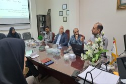 نخستین جلسه کارگروه فیزیک پزشکی مرکز تحقیقات توسعه اجتماعی و ارتقای سلامت در جلسه 1405